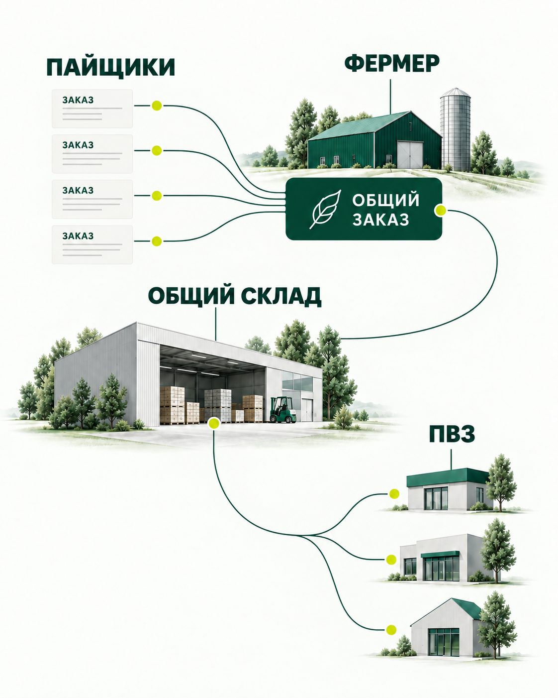 Пайщики объединяют личные заказы в общий заказ. Фермер поставляет продукты на общий склад, откуда они поступают в ПВЗ. Схема расположена сверху вниз.
